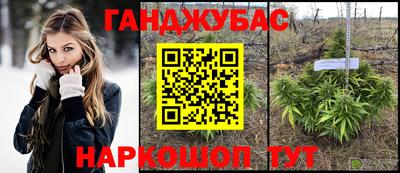 не бодяженный Кингисепп
