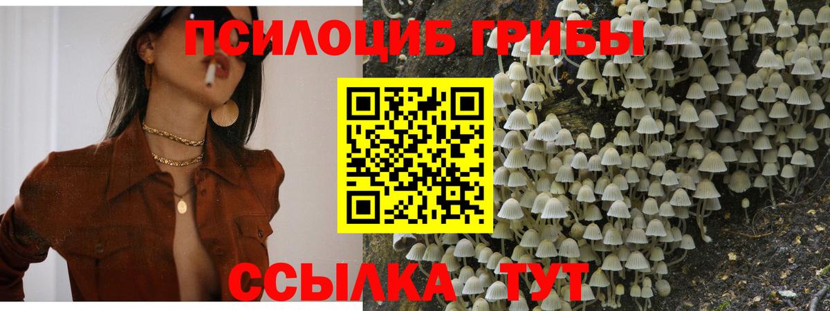 Галлюциногенные грибы мухоморы  Псилоцибиновые грибы Cubensis  Кубинка  Вход с VPN 